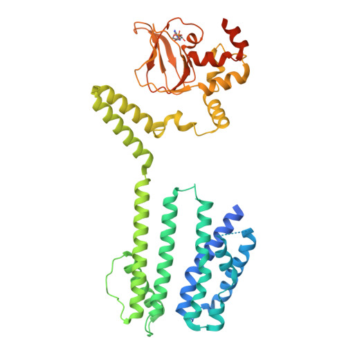 Structure 35VD
