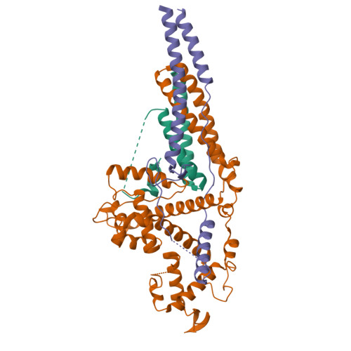 Structure 36AC