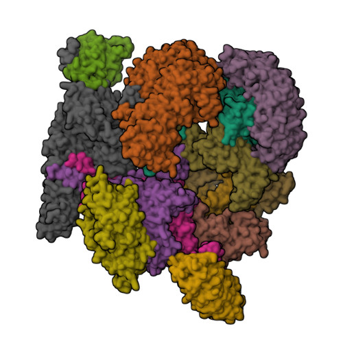 Structure 36AX