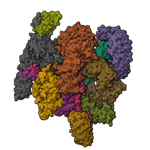 Structure 36BL
