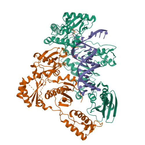 Structure 36BT