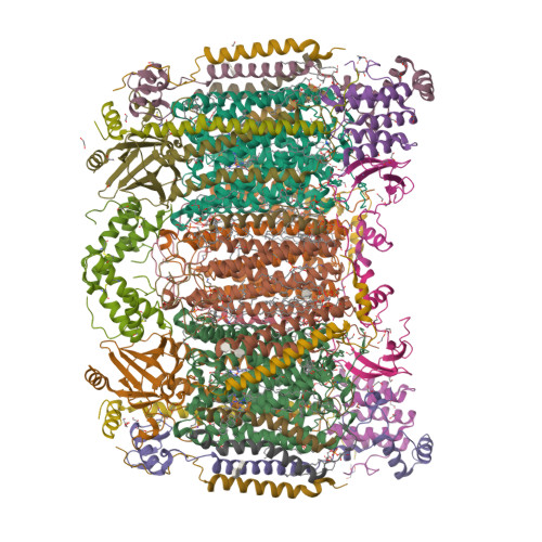 Structure 36CV