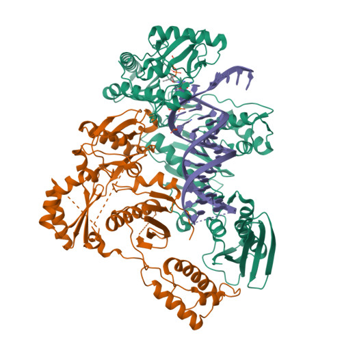 Structure 36CW