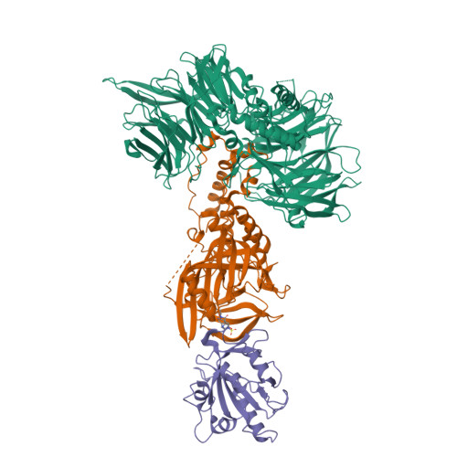 Structure 36MP