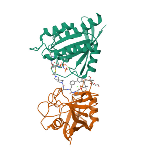 Structure 36OJ