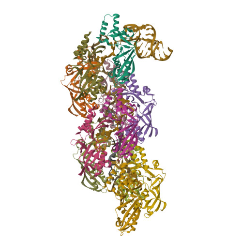 Structure 36PC