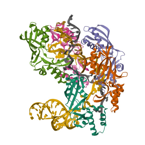 Structure 36PF