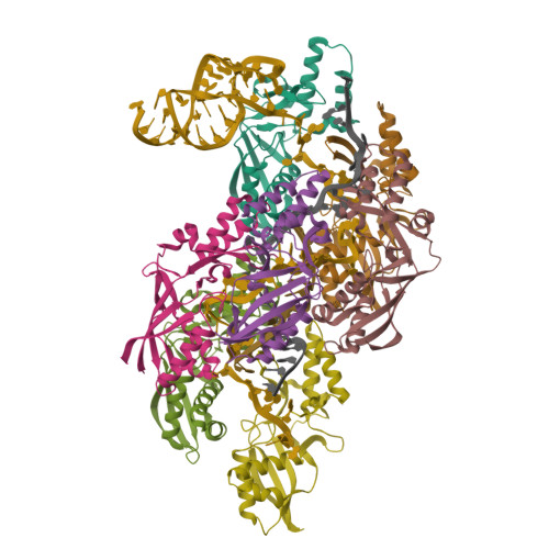 Structure 36PJ
