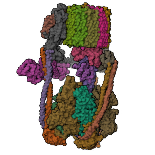 Structure 36QU