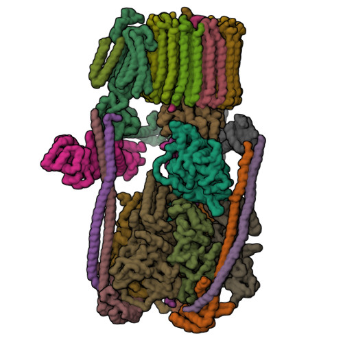 Structure 36QX