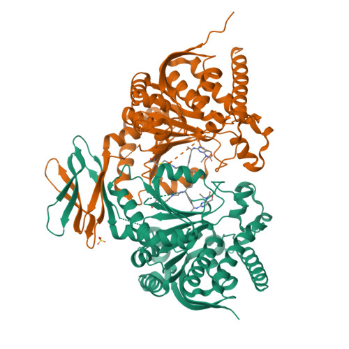 Structure 36UJ