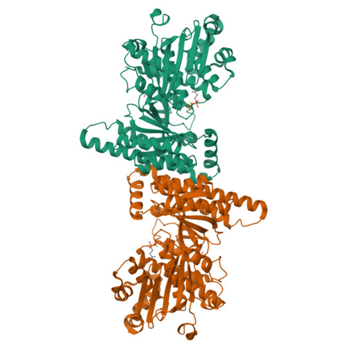 Structure 36WJ