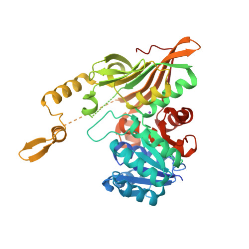 Structure 36YL
