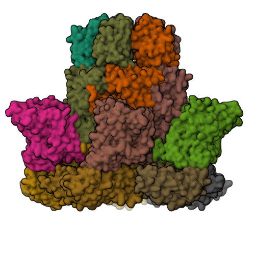 Structure 37BP