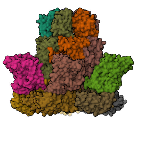 Structure 37BR