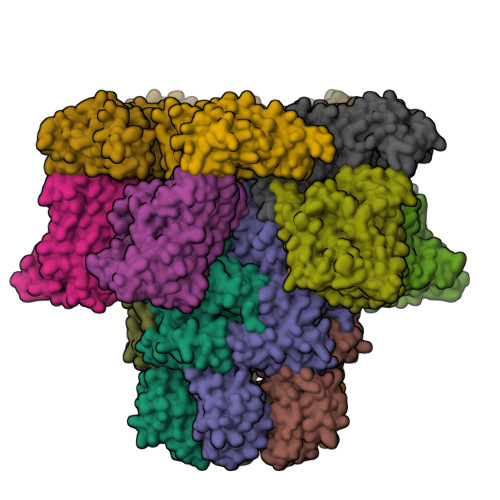 Structure 37BS