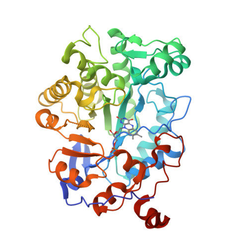 Structure 37FX