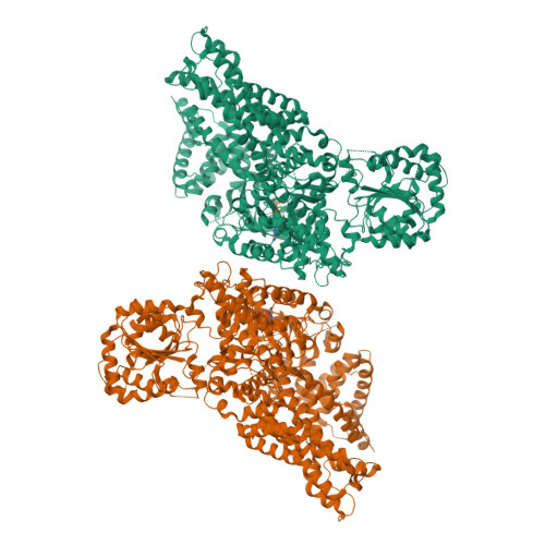 Structure 37HT