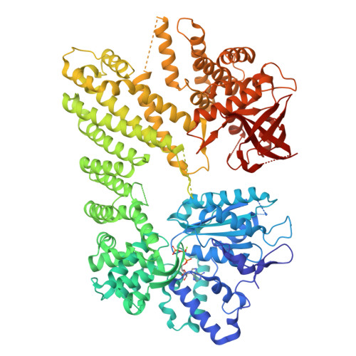 Structure 37IB