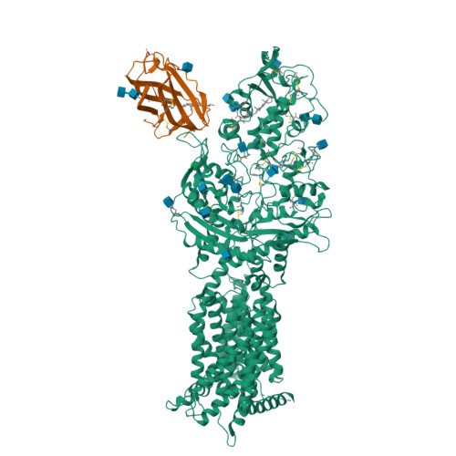 Structure 37LU