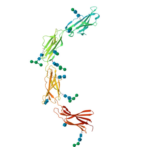 Structure 37NT
