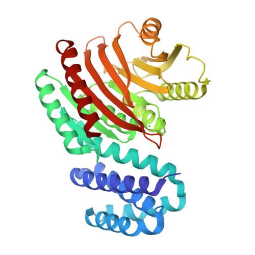 Structure 37SN