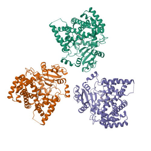 Structure 38FU