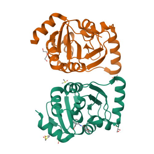 Structure 38HB