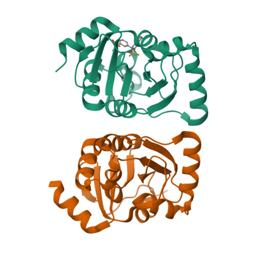 Structure 38HY