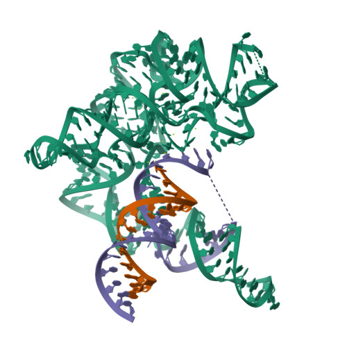 Structure 38JC