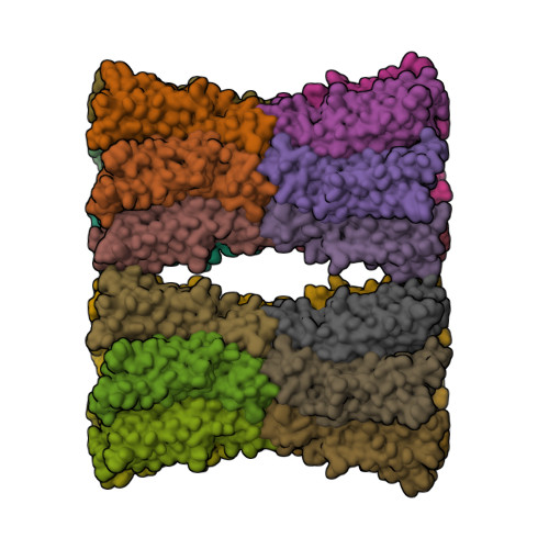 Structure 38KI