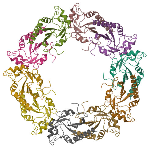 Structure 38KY