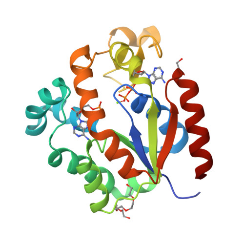 Structure 38LJ