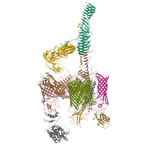 Structure 38QP