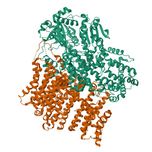 Structure 38RH