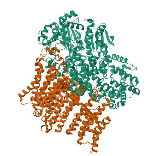 Structure 38RI