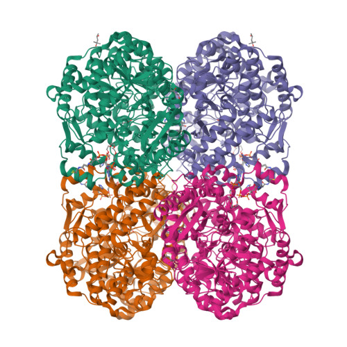 Structure 38YC