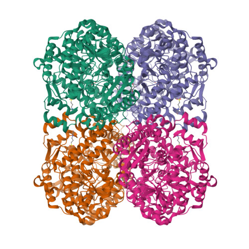 Structure 38YE