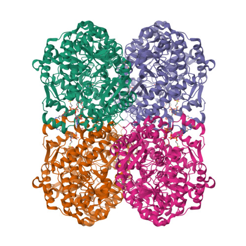 Structure 38YL