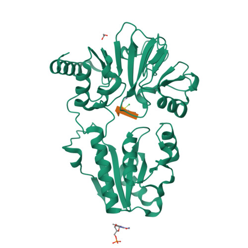 Structure 38ZP