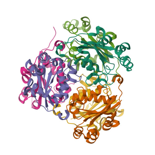 Structure 38ZS