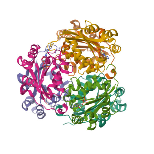Structure 39AC