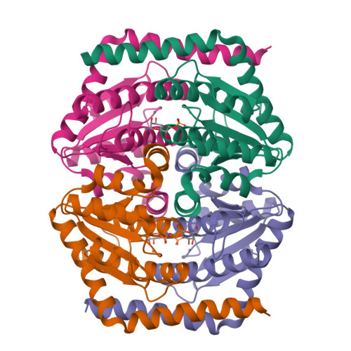 Structure 39ET