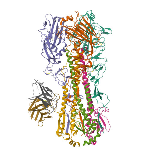 Structure 39HU