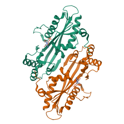 Structure 39PB
