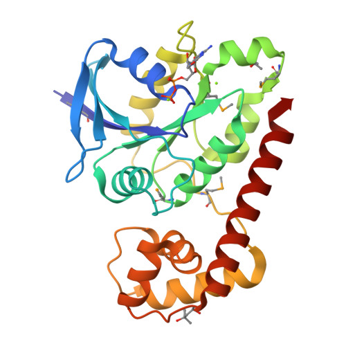 RCSB PDB - 3A1S: Crystal structue of the cytosolic domain of T ...