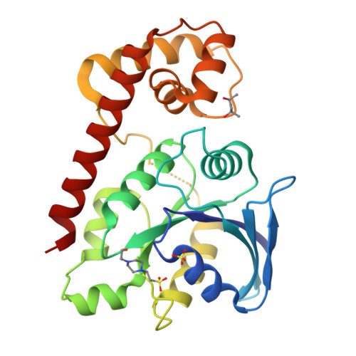 RCSB PDB - 3A1V: Crystal structue of the cytosolic domain of T ...