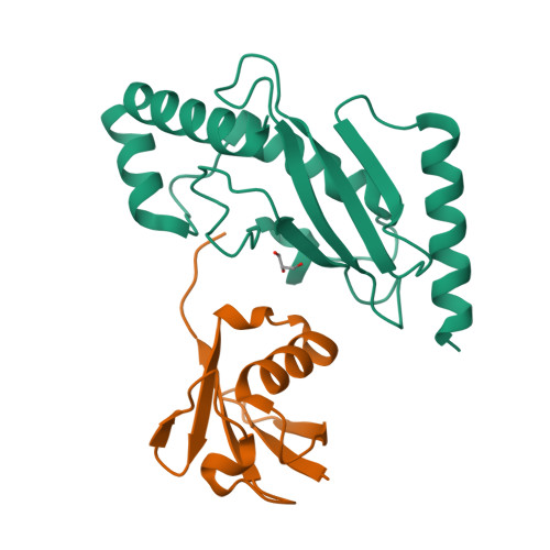 RCSB PDB - 3A33: UbcH5b~Ubiquitin Conjugate