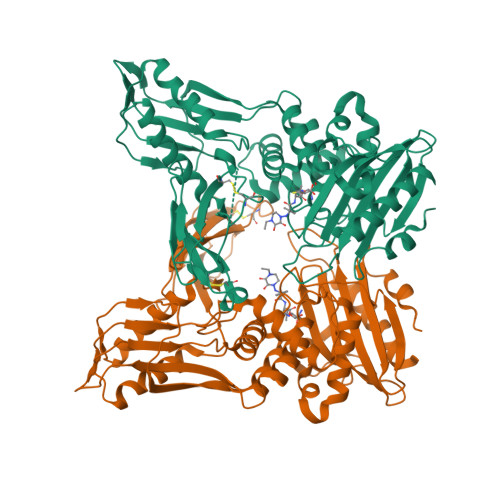 RCSB PDB - 3A3E: Crystal structure of penicillin binding protein 4 ...