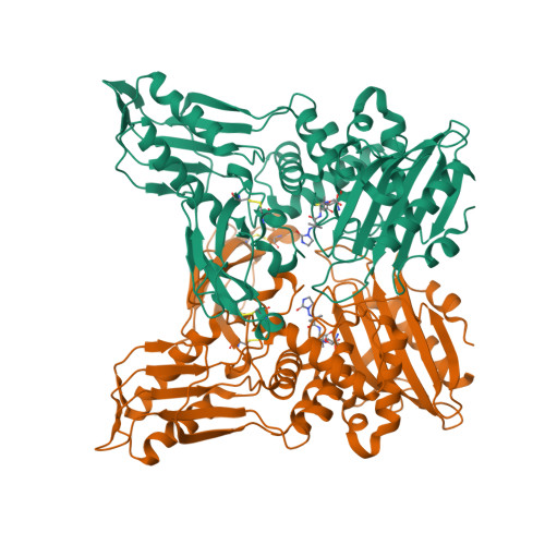 RCSB PDB - 3A3F: Crystal structure of penicillin binding protein 4 ...